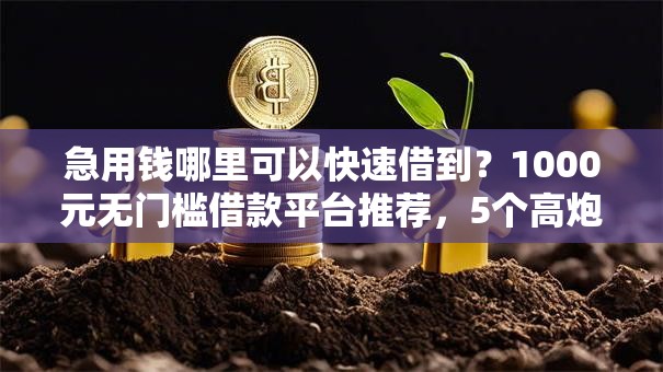 急用钱哪里可以快速借到?1000元无门槛借款平台推荐,5个高炮口子秒下款最新盘点 急用钱哪里可以快速借到?1000元无门槛借款平台推荐,5个高炮口子秒下款最新盘点