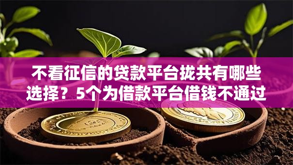 不看征信的贷款平台拢共有哪些选择?5个为借款平台借钱不通过详解 不看征信的贷款平台拢共有哪些选择?5个为借款平台借钱不通过详解