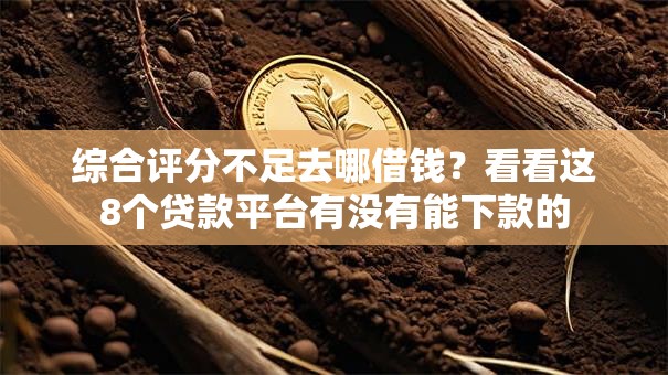 综合评分不足去哪借钱？看看这8个贷款平台有没有能下款的