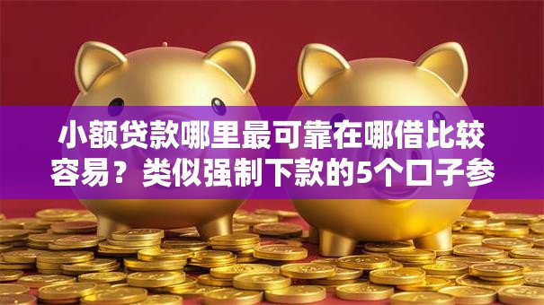 小额贷款哪里最可靠在哪借比较容易？类似强制下款的5个口子参考