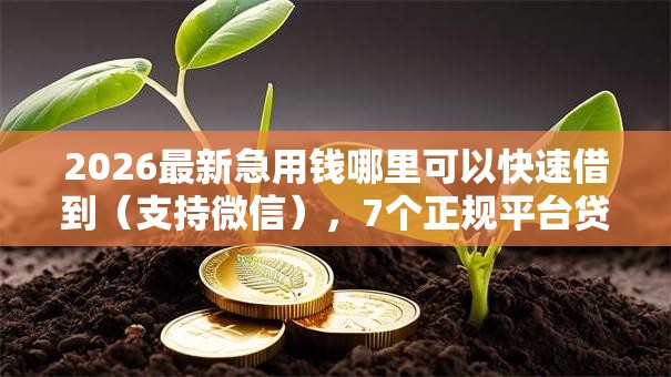 2026最新急用钱哪里可以快速借到(支持微信),7个正规平台贷款无私分享 2026最新急用钱哪里可以快速借到(支持微信),7个正规平台贷款无私分享