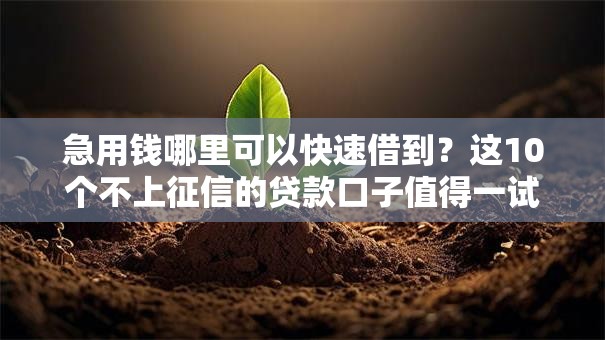 急用钱哪里可以快速借到？这10个不上征信的贷款口子值得一试