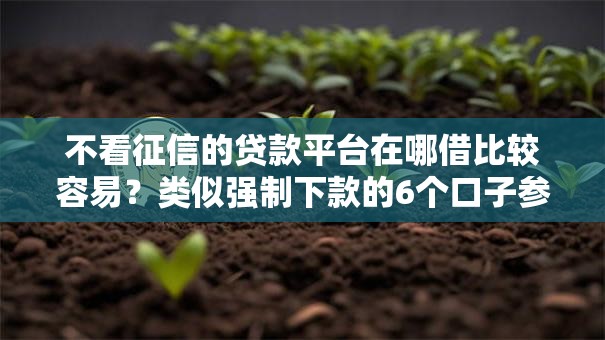 不看征信的贷款平台在哪借比较容易？类似强制下款的6个口子参考