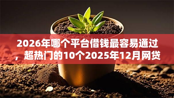 2026年哪个平台借钱最容易通过,超热门的10个2025年12月网贷平台推荐 2026年哪个平台借钱最容易通过,超热门的10个2025年12月网贷平台推荐