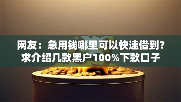 网友:急用钱哪里可以快速借到?求介绍几款黑户100%下款口子 网友:急用钱哪里可以快速借到?求介绍几款黑户100%下款口子