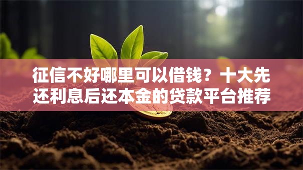 征信不好哪里可以借钱?十大先还利息后还本金的贷款平台推荐 征信不好哪里可以借钱?十大先还利息后还本金的贷款平台推荐