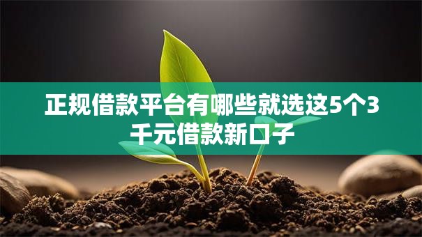 正规借款平台有哪些就选这5个3千元借款新口子 正规借款平台有哪些就选这5个3千元借款新口子