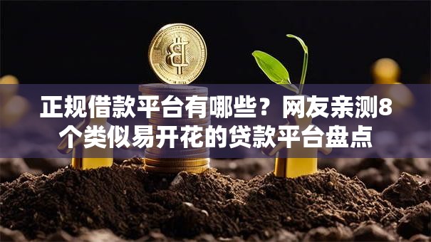 正规借款平台有哪些？网友亲测8个类似易开花的贷款平台盘点