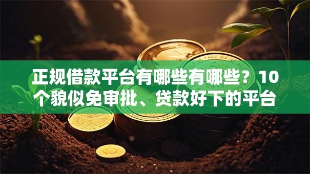 正规借款平台有哪些有哪些？10个貌似免审批、贷款好下的平台合集