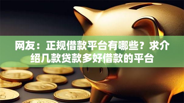 网友：正规借款平台有哪些？求介绍几款贷款多好借款的平台