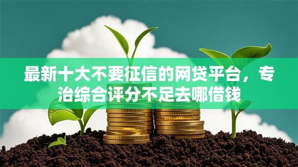 最新十大不要征信的网贷平台，专治综合评分不足去哪借钱