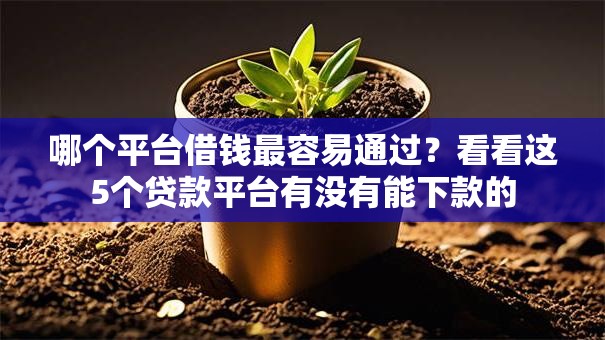 哪个平台借钱最容易通过?看看这5个贷款平台有没有能下款的 哪个平台借钱最容易通过?看看这5个贷款平台有没有能下款的