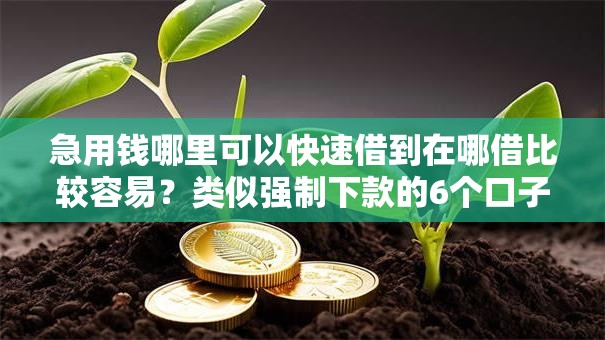 急用钱哪里可以快速借到在哪借比较容易?类似强制下款的6个口子参考 急用钱哪里可以快速借到在哪借比较容易?类似强制下款的6个口子参考
