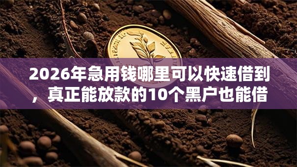 2026年急用钱哪里可以快速借到,真正能放款的10个黑户也能借款的软件推荐 2026年急用钱哪里可以快速借到,真正能放款的10个黑户也能借款的软件推荐