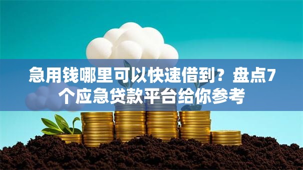 急用钱哪里可以快速借到?盘点7个应急贷款平台给你参考 急用钱哪里可以快速借到?盘点7个应急贷款平台给你参考