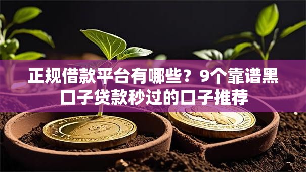 正规借款平台有哪些?9个靠谱黑口子贷款秒过的口子推荐 正规借款平台有哪些?9个靠谱黑口子贷款秒过的口子推荐