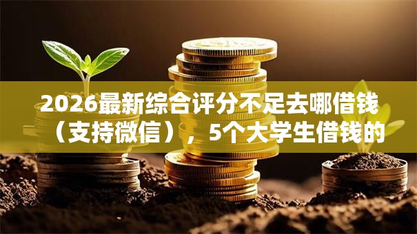 2026最新综合评分不足去哪借钱（支持微信），5个大学生借钱的正规平台无私分享