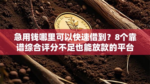 急用钱哪里可以快速借到?8个靠谱综合评分不足也能放款的平台推荐 急用钱哪里可以快速借到?8个靠谱综合评分不足也能放款的平台推荐