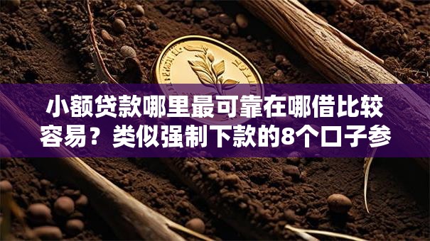 小额贷款哪里最可靠在哪借比较容易？类似强制下款的8个口子参考