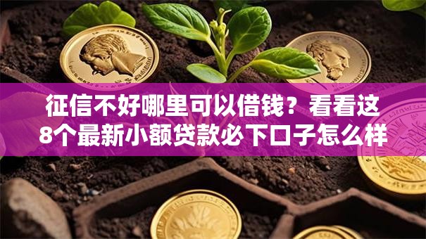 征信不好哪里可以借钱？看看这8个最新小额贷款必下口子怎么样