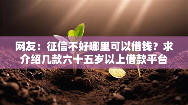 网友:征信不好哪里可以借钱?求介绍几款六十五岁以上借款平台 网友:征信不好哪里可以借钱?求介绍几款六十五岁以上借款平台