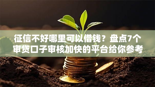 征信不好哪里可以借钱?盘点7个审贷口子审核加快的平台给你参考 征信不好哪里可以借钱?盘点7个审贷口子审核加快的平台给你参考