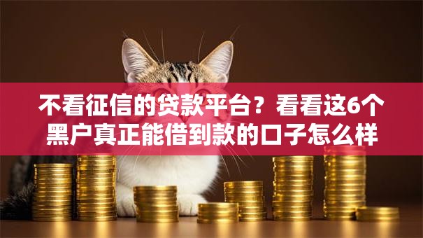 不看征信的贷款平台?看看这6个黑户真正能借到款的口子怎么样 不看征信的贷款平台?看看这6个黑户真正能借到款的口子怎么样