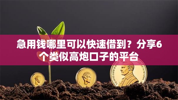 急用钱哪里可以快速借到？分享6个类似高炮口子的平台