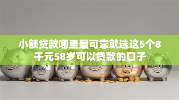 小额贷款哪里最可靠就选这5个8千元58岁可以贷款的口子 小额贷款哪里最可靠就选这5个8千元58岁可以贷款的口子