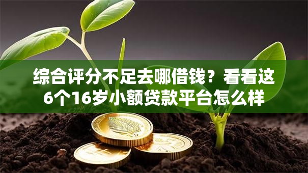 综合评分不足去哪借钱？看看这6个16岁小额贷款平台怎么样