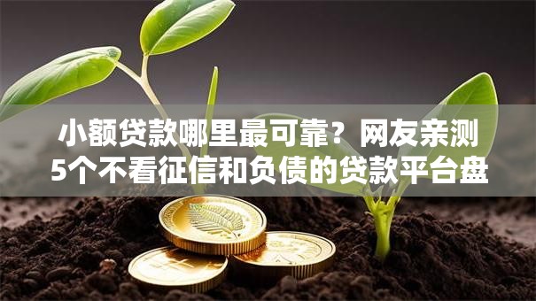 小额贷款哪里最可靠?网友亲测5个不看征信和负债的贷款平台盘点 小额贷款哪里最可靠?网友亲测5个不看征信和负债的贷款平台盘点
