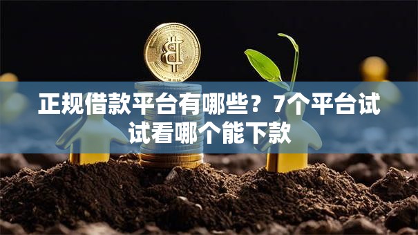 正规借款平台有哪些？7个平台试试看哪个能下款