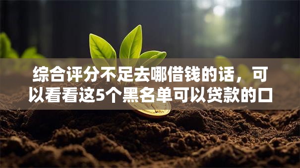 综合评分不足去哪借钱的话，可以看看这5个黑名单可以贷款的口子