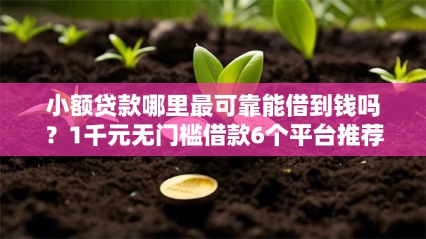 小额贷款哪里最可靠能借到钱吗?1千元无门槛借款6个平台推荐 小额贷款哪里最可靠能借到钱吗?1千元无门槛借款6个平台推荐