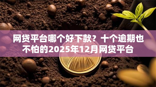 网贷平台哪个好下款?十个逾期也不怕的2025年12月网贷平台 网贷平台哪个好下款?十个逾期也不怕的2025年12月网贷平台