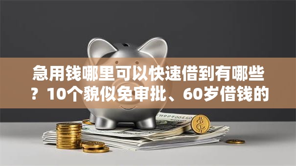 急用钱哪里可以快速借到有哪些？10个貌似免审批、60岁借钱的平台100%能借到合集