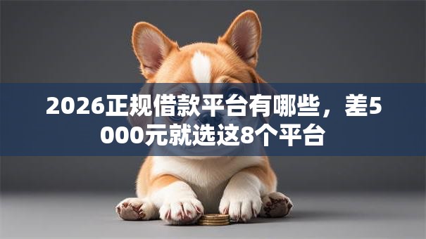 2026正规借款平台有哪些，差5000元就选这8个平台
