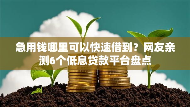 急用钱哪里可以快速借到?网友亲测6个低息贷款平台盘点 急用钱哪里可以快速借到?网友亲测6个低息贷款平台盘点