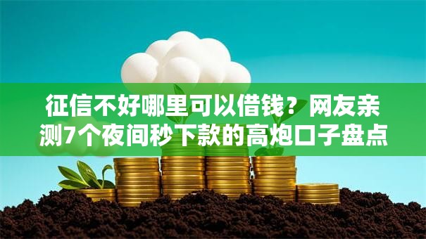 征信不好哪里可以借钱？网友亲测7个夜间秒下款的高炮口子盘点