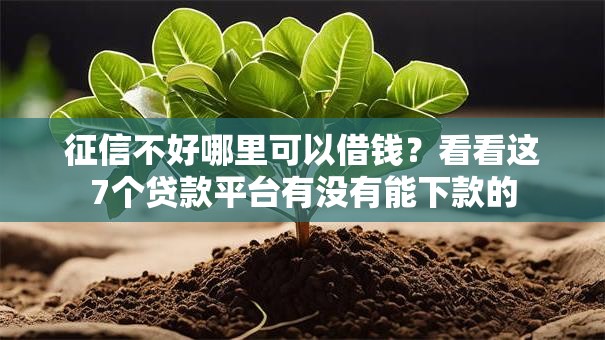 征信不好哪里可以借钱?看看这7个贷款平台有没有能下款的 征信不好哪里可以借钱?看看这7个贷款平台有没有能下款的