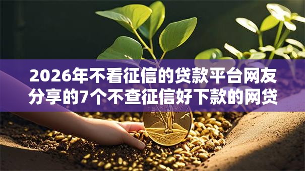2026年不看征信的贷款平台网友分享的7个不查征信好下款的网贷平台我觉得不错！