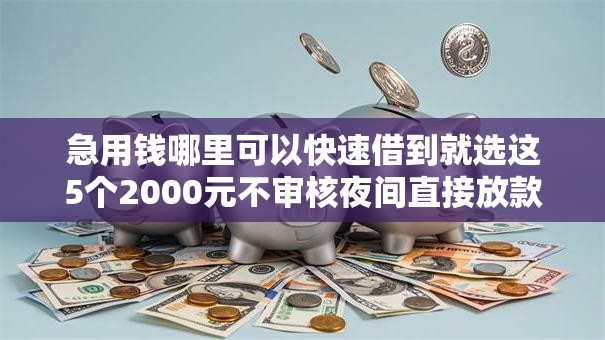 急用钱哪里可以快速借到就选这5个2000元不审核夜间直接放款的网贷软件 急用钱哪里可以快速借到就选这5个2000元不审核夜间直接放款的网贷软件