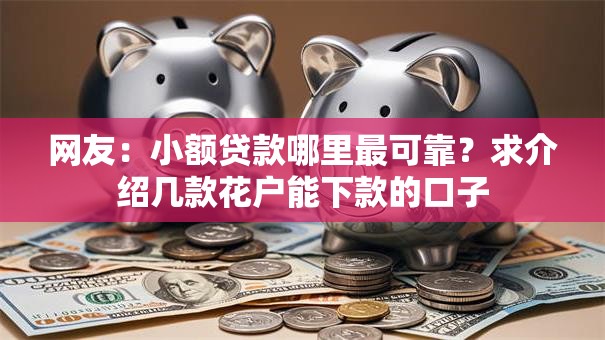 网友：小额贷款哪里最可靠？求介绍几款花户能下款的口子