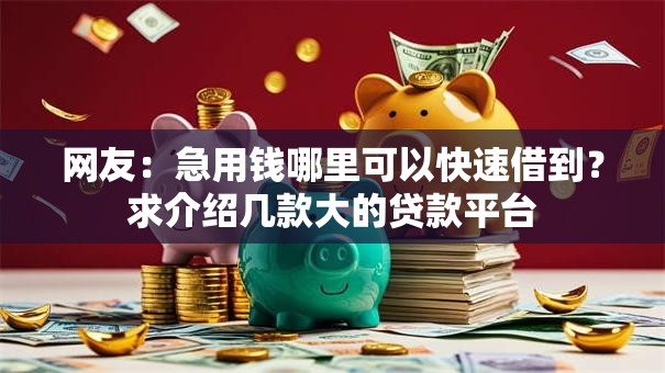 网友：急用钱哪里可以快速借到？求介绍几款大的贷款平台