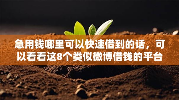 急用钱哪里可以快速借到的话，可以看看这8个类似微博借钱的平台