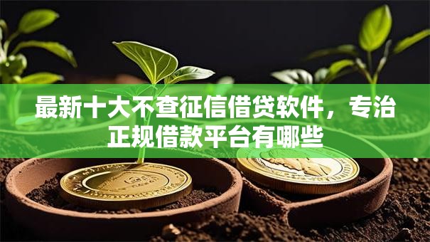 最新十大不查征信借贷软件，专治正规借款平台有哪些