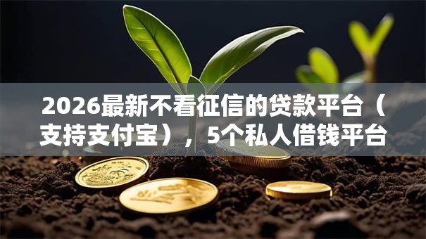 2026最新不看征信的贷款平台(支持支付宝),5个私人借钱平台无私分享 2026最新不看征信的贷款平台(支持支付宝),5个私人借钱平台无私分享