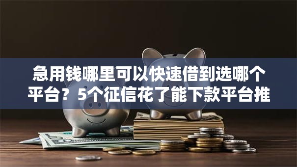 急用钱哪里可以快速借到选哪个平台?5个征信花了能下款平台推荐 急用钱哪里可以快速借到选哪个平台?5个征信花了能下款平台推荐