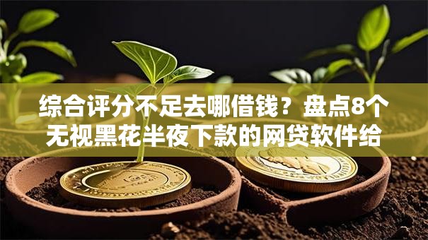 综合评分不足去哪借钱?盘点8个无视黑花半夜下款的网贷软件给你参考 综合评分不足去哪借钱?盘点8个无视黑花半夜下款的网贷软件给你参考