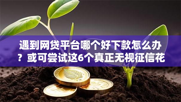 遇到网贷平台哪个好下款怎么办？或可尝试这6个真正无视征信花的平台